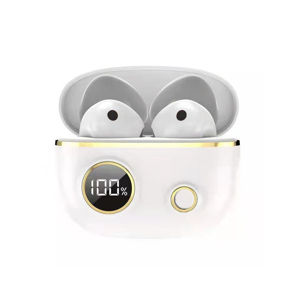 Smart Noise-Cancelling Earbuds