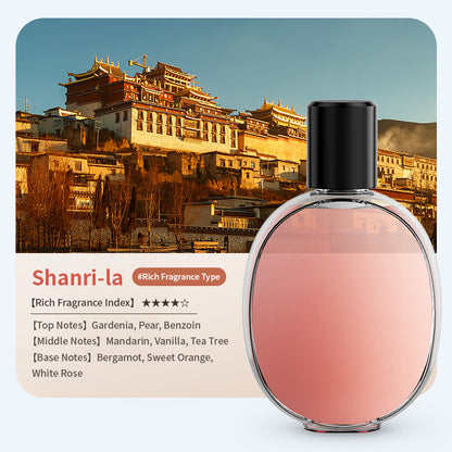 Automatic Spray Aroma Diffuser with Night Light