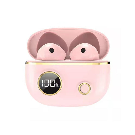 Smart Noise-Cancelling Earbuds